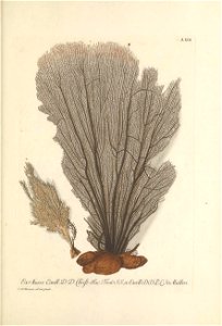 n104_w1150