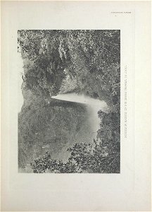 n424_w1150