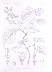 n424_w1150