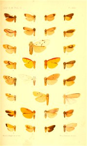 n112_w1150