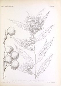 n218_w1150