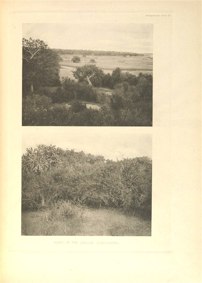 n404_w1150
