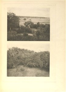 n404_w1150