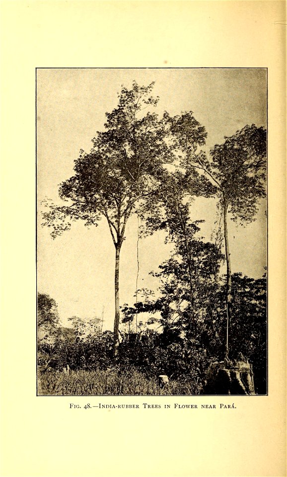 n573_w1150