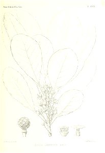 n528_w1150
