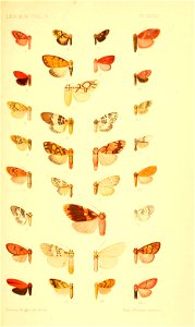 n152_w1150