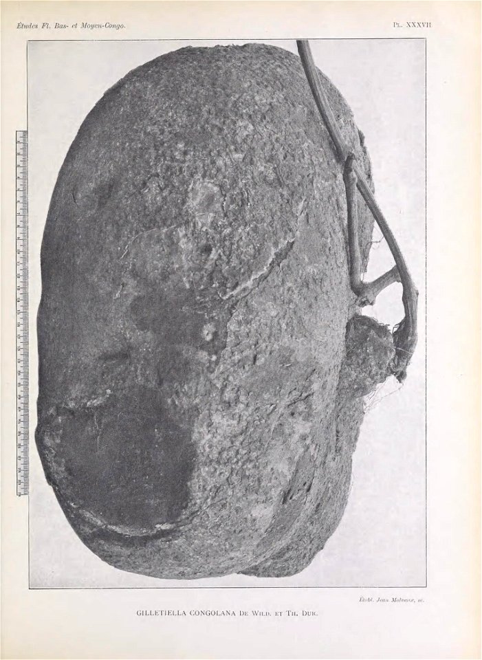 n412_w1150