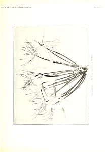 n374_w1150