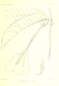 n314_w1150