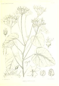 n118_w1150