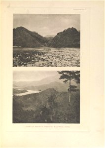 n306_w1150