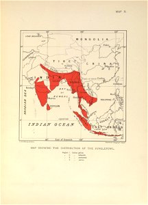 n334_w1150