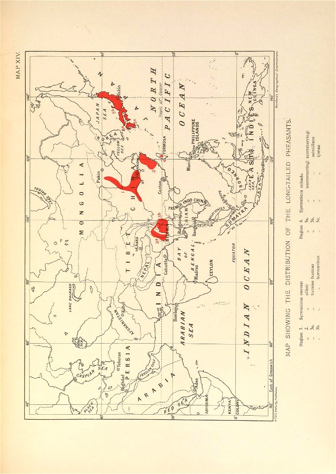 n292_w1150