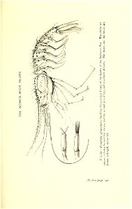 n214_w1150