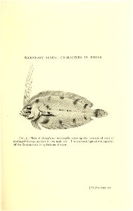 n104_w1150
