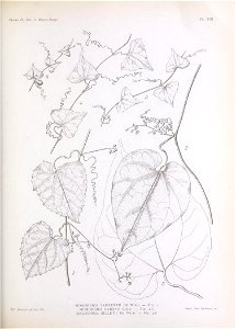 n190_w1150