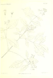 n326_w1150