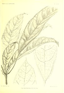 n160_w1150