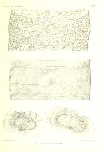 n130_w1150