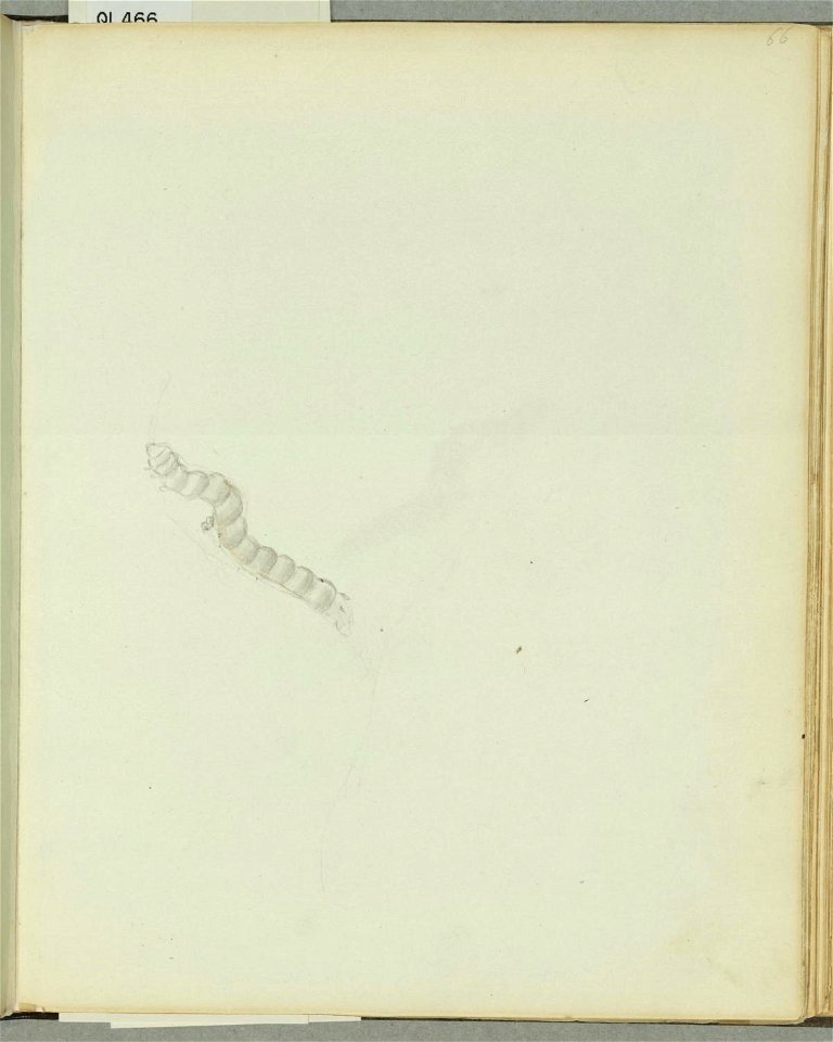 n49_w1150