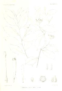 n566_w1150