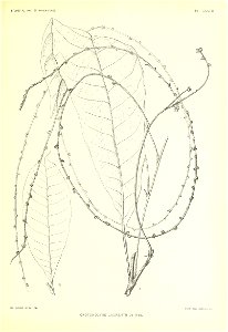 n536_w1150