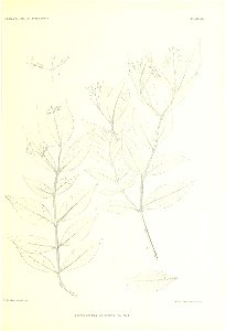 n324_w1150