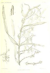n158_w1150