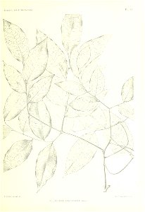 n128_w1150