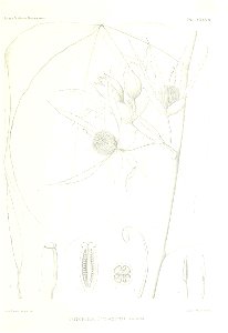 n564_w1150