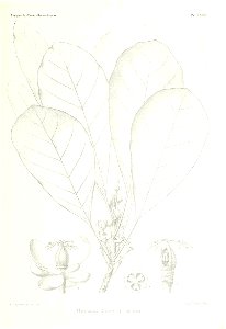n534_w1150