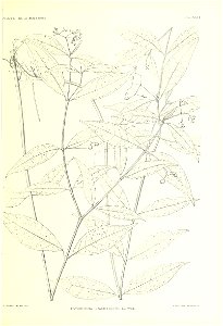 n322_w1150