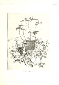 n352_w1150