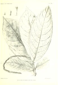 n126_w1150