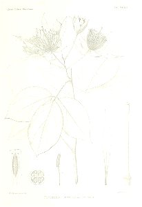 n562_w1150