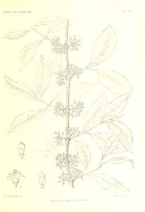 n320_w1150