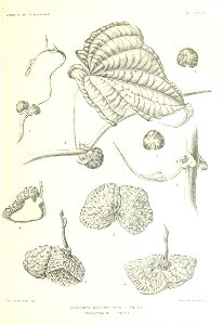 n154_w1150