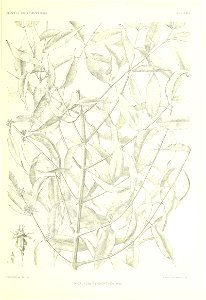 n124_w1150
