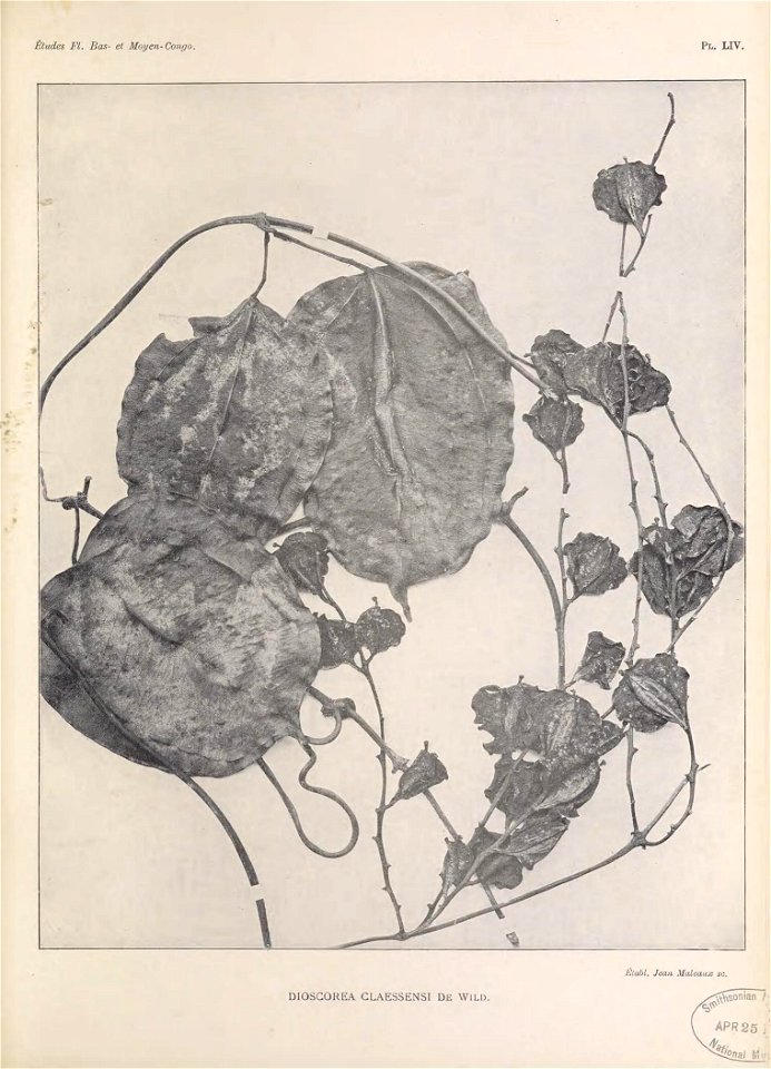 n236_w1150