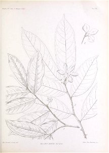 n182_w1150