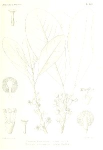 n530_w1150