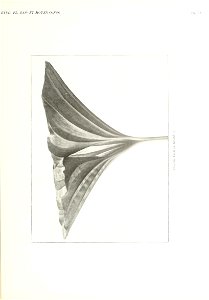 n348_w1150