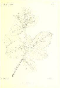 n318_w1150
