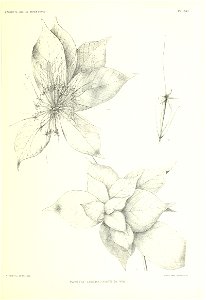 n122_w1150
