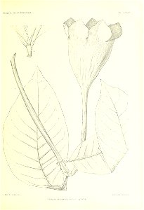 n316_w1150