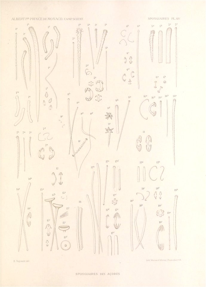 n344_w1150