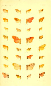 n148_w1150