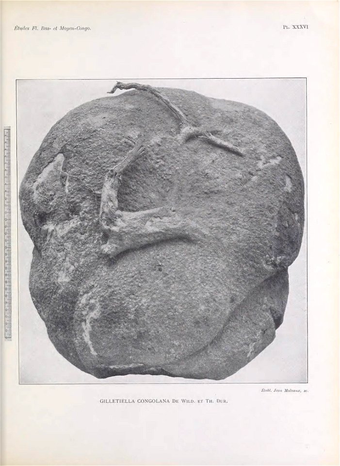 n410_w1150
