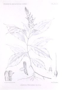 n426_w1150