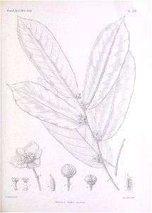 n192_w1150